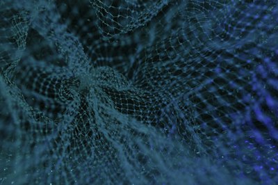 The Next Wave of Technology in Claims Management