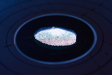 Proactive Fraud Detection Strategies for Claims Adjusters)