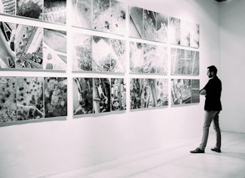 Partnering with Conservators for Successful Outcomes