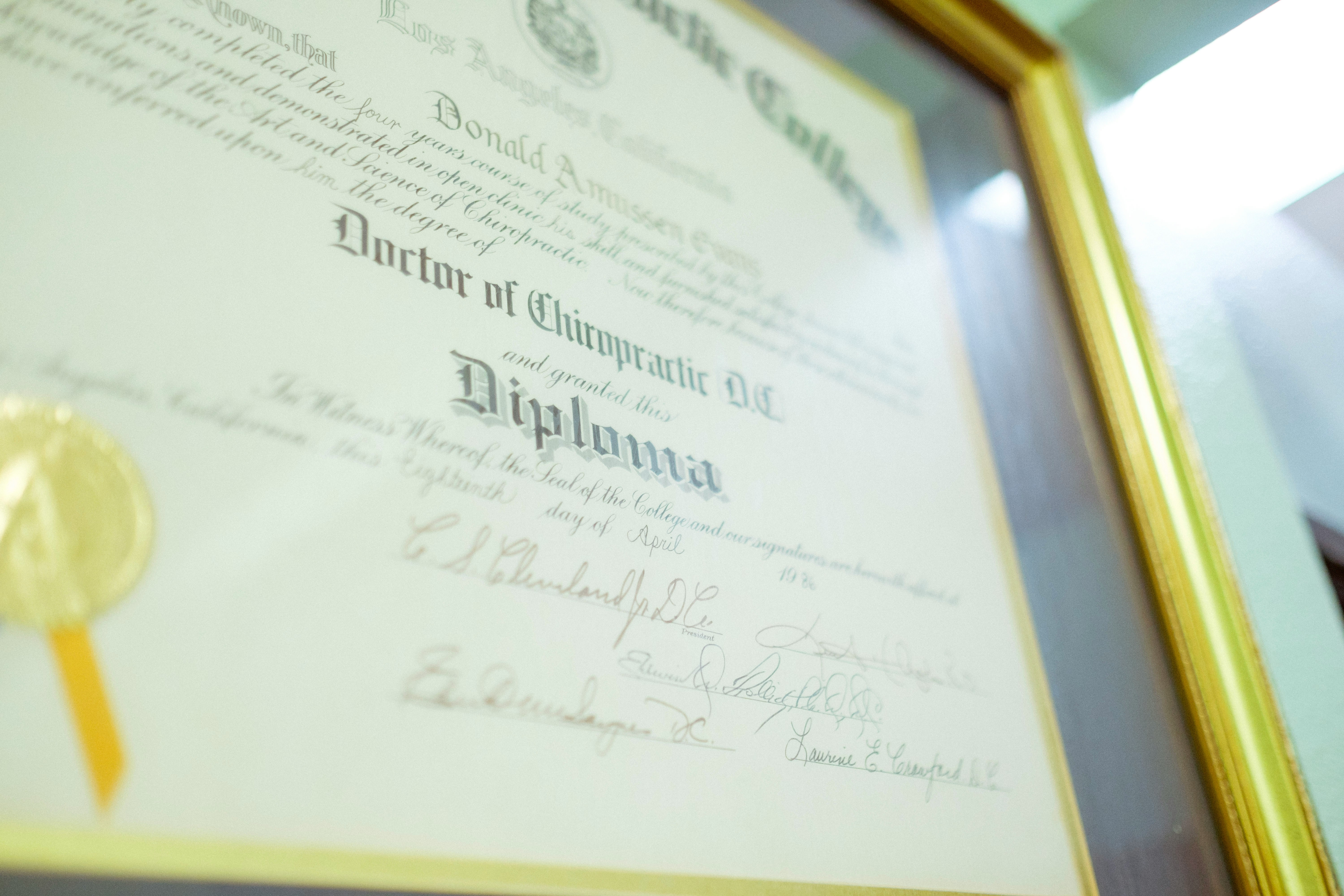How People Replace Missing Educational Certificates