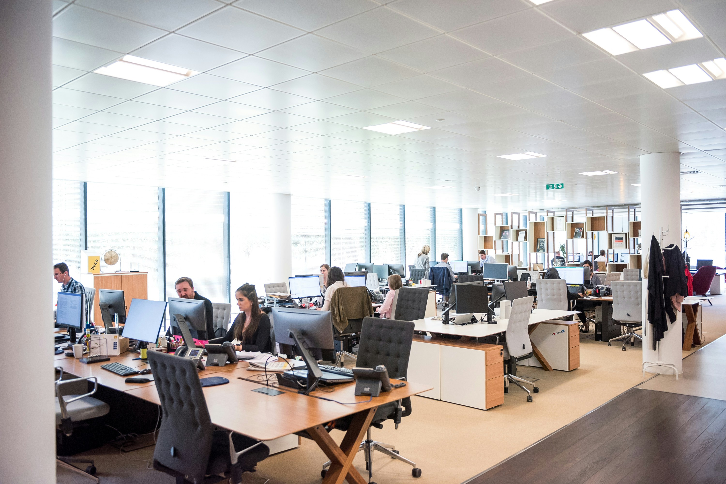 Service Differentiation Can Help Your Business Rise Above the Competition