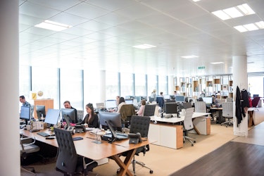 Service Differentiation Can Help Your Business Rise Above the Competition