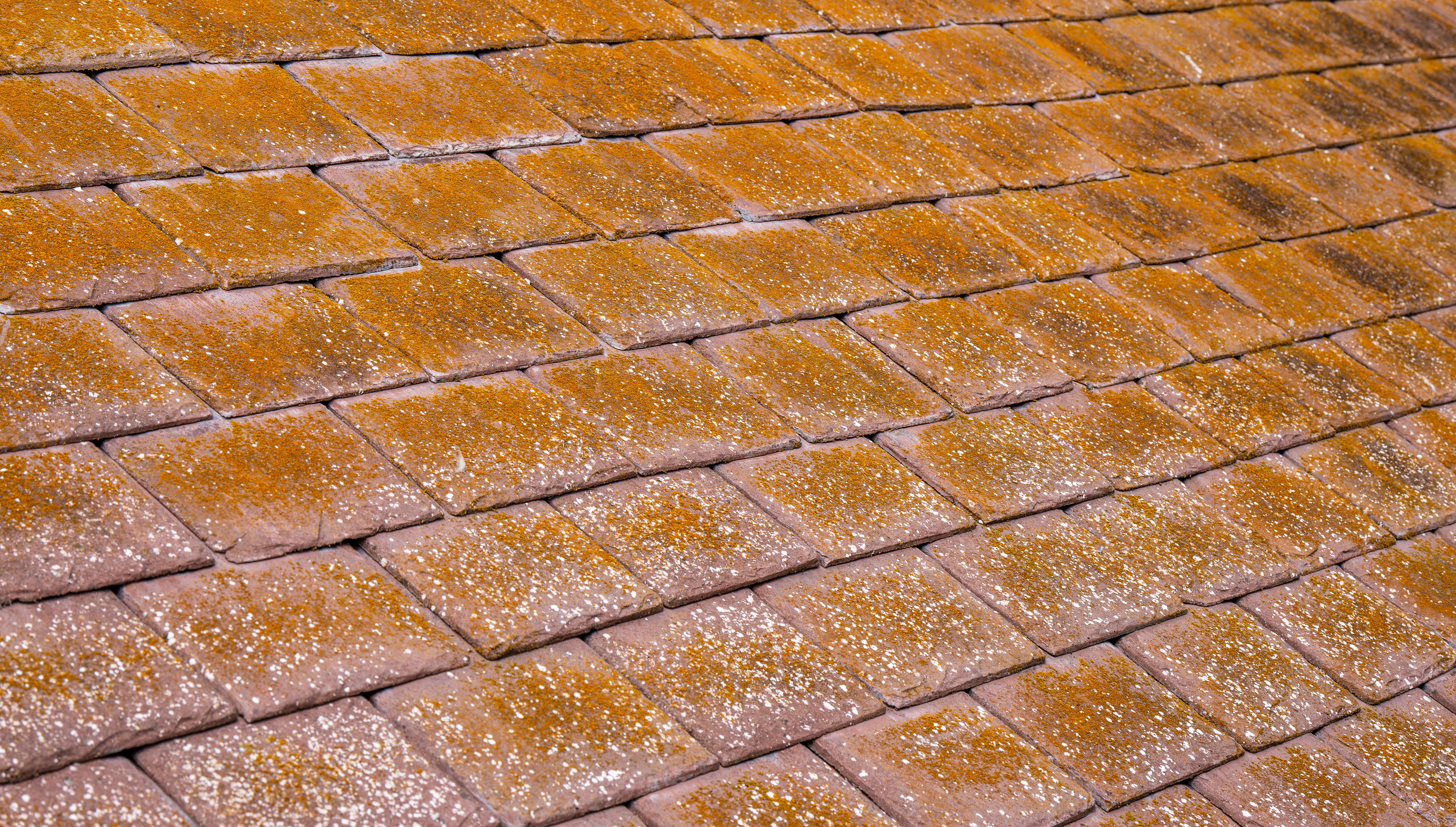 Reading the Roof Before the Roofer Does