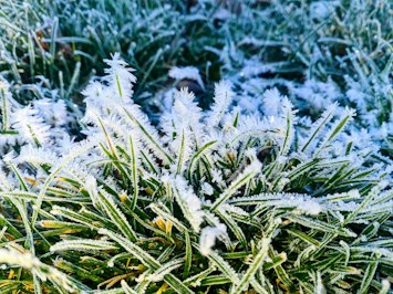 Cold in Places That Never Planned for It