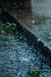 The Rain After the Fire