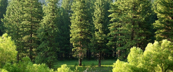 Optimizing Policyholder Satisfaction: Understanding and Enhancing the Claim Process