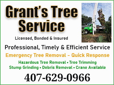 Grant's Tree Service, Inc, Tree Services in florida