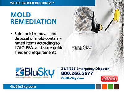 BluSky Restoration Contractors, Mold Remediation in nevada