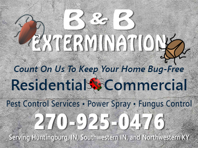 B&B Extermination, Pest Control in kentucky