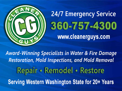 Cleaner Guys, Mold Remediation in washington