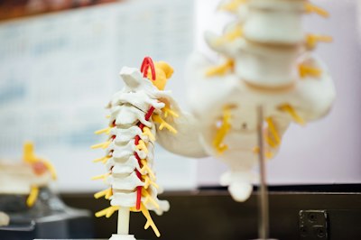 Navigating the Future of SCI and TBI Rehabilitation in Workers’ Compensation - Insurance Claims News Article