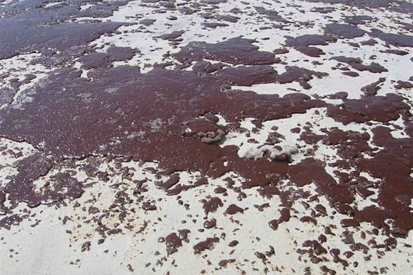 Amplify Energy Agrees to $50M California Spill Settlement