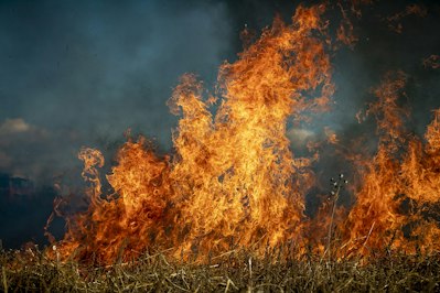 Insurers Pay Nearly $7 Billion for Los Angeles County Wildfire Claims - Insurance Claims News Article