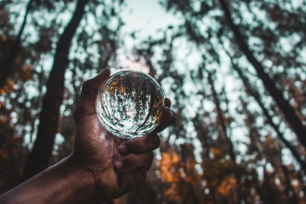 NAIC Endorses International Climate Risk Disclosure Standard