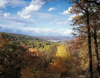 Maryland Wildfires Decline in 2024, Falling Below Recent Averages - Insurance Claims News Article