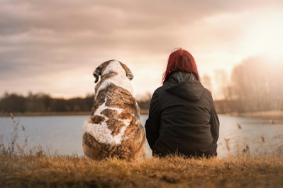 Pets Overcoming Unusual Mishaps Compete for Nationwide’s 2024 Hambone Award - Insurance Claims News Article