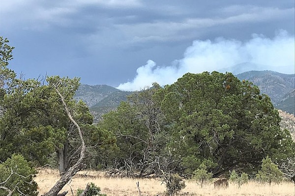 2 Dead, 200 Structures Burned In New Mexico Wildfire