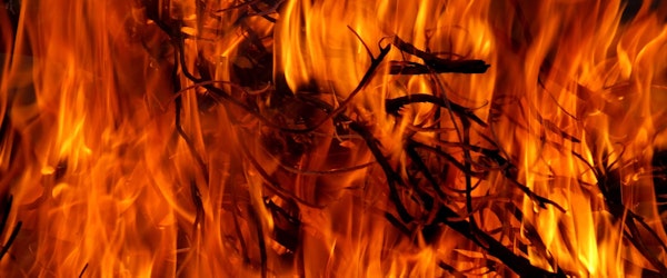 Erratic Oregon Wildfire Destroys Dozens of Homes, Expands (US News & World Report)