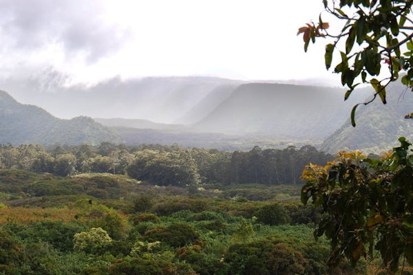 Flooding In Maui Damaged Homes, Prompted Evacuations