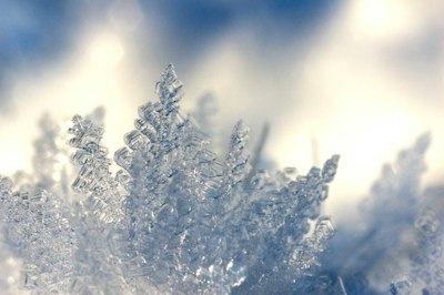 Frozen And Burst Pipes: Expect Many Insurance Claims After Historic Cold In Texas - Insurance Claims News Article