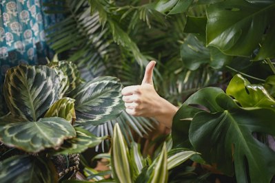 Add Greenery For Improved Recovery, Well-Being And Productivity - Insurance Claims News Article
