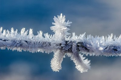 Freeze Claims: Strategies for Swift and Effective Resolution - Insurance Claims News Article