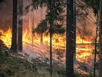 LA Wildfires Cause $1.9M Average Insured Loss Per Structure, Over 17,000 Properties Impacted - Insurance Claims News Article