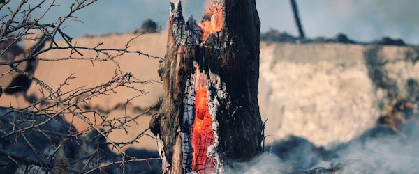 Californians Warned About Mudslide Risk In Wildfire Areas (Insurance Information Institute)