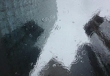 Ida Batters Northeast With Record Rain And Floods, Tornado - Insurance Claims News Article