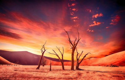 Global Economy Set to Lose 19% of Income by 2050 Due to Climate Change - Insurance Claims News Article