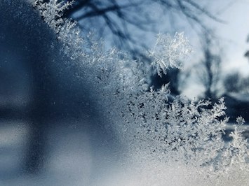 ’Record Claims Reporting’ Follows Texas Deep Freeze - Insurance Claims News Article