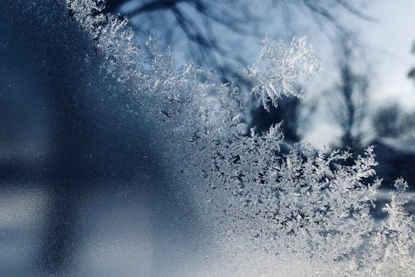 ’Record Claims Reporting’ Follows Texas Deep Freeze