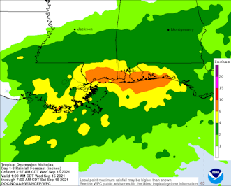 Hurricane Nicholas Insured Loss Around $950M: KCC - Insurance Claims News Article