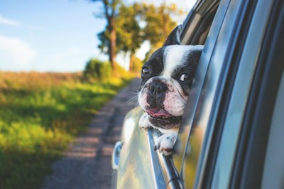 Triple-I: Rating-Factor Variety Drives Accuracy of Auto Insurance Pricing - Insurance Claims News Article