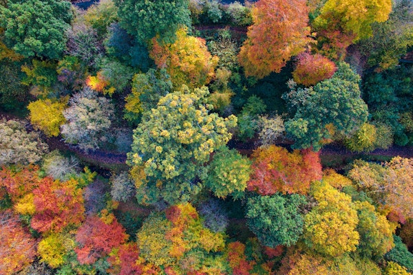 A New Environment For Insurers