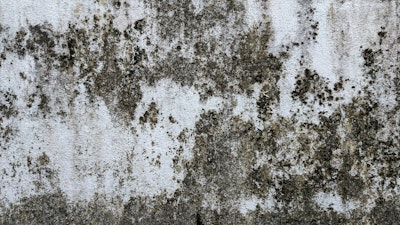 Mold, Disabilities, and the Fair Housing Act: Legal Risks for Landlords and Insurers - Insurance Claims News Article