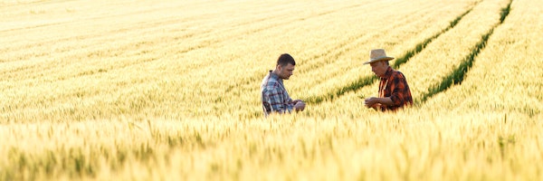Time For Crop Insurance Reform