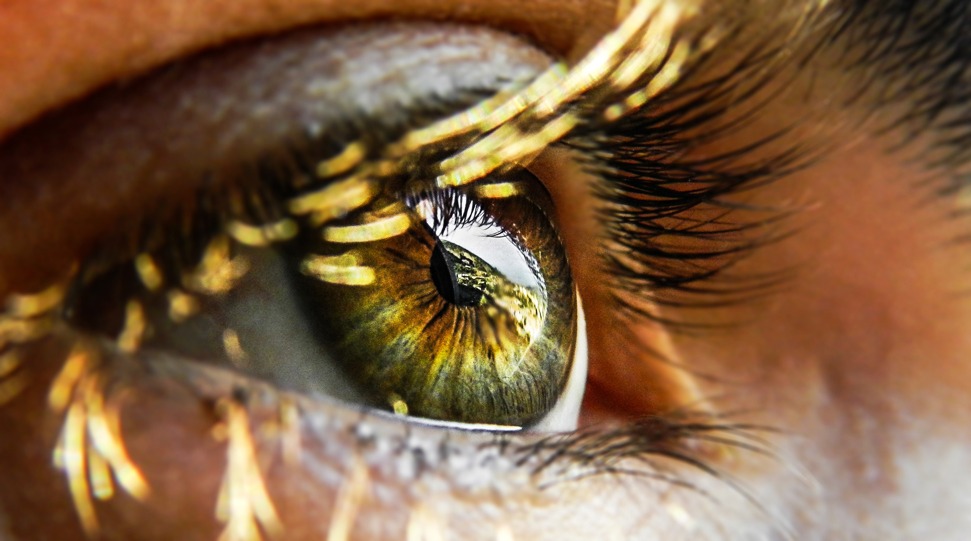 Minnesota Contractor Pleads Guilty to Insurance Fraud After Nail Injures Employee’s Eye - Insurance Claims News Article