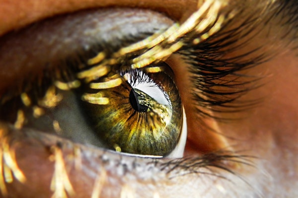 Eye Of The Beholder: Understanding The Psychology Of Risk Perception To Improve Risk Management