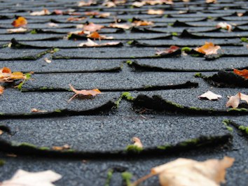North Carolina Brothers Plead Guilty in Roofing Insurance Fraud Sting - Insurance Claims News Article