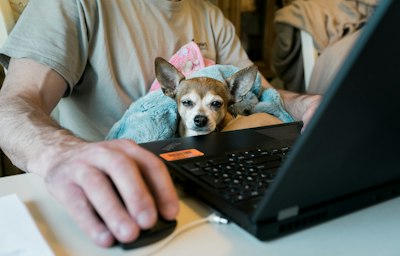 Ohio Law Establishes Criteria for Compensable Remote Worker Injuries - Insurance Claims News Article