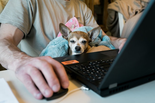 Leading Remote Workers In Insurance