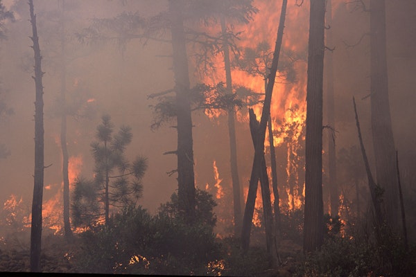 ’Unprecedented And Heart-Breaking’: High Winds Stoke Pacific Northwest Wildfires