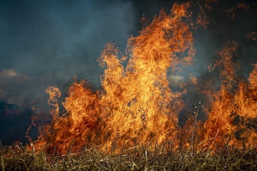 California Wildfire Survivors Protected from Insurance Cancellations by New Moratorium - Insurance Claims News Article