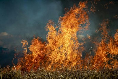 California Wildfire Survivors Protected from Insurance Cancellations by New Moratorium - Insurance Claims News Article