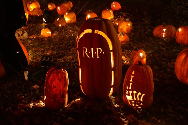 It’s That Time Of Year Again: Insurance Claims Trends Around Halloween