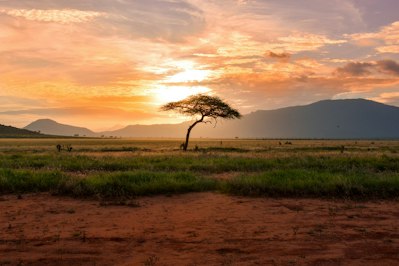 WFP’s 2023 Annual Report on Climate Risk Insurance Highlights Expansive Global Impact - Insurance Claims News Article