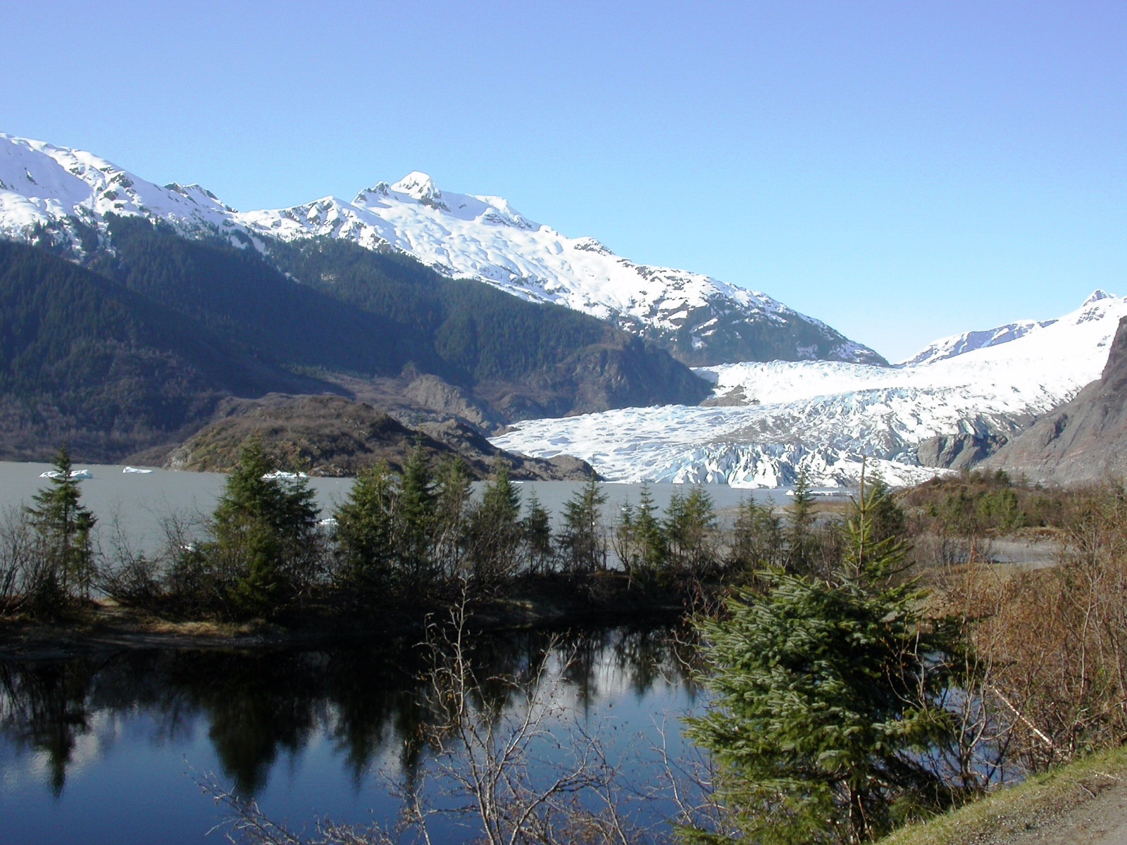 Alaska Tsunami Sent Water 1,580 Feet Up Mountainside as Scientists Identify Warning Signs