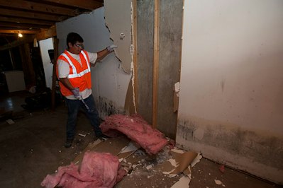 The Return Of Mold - Insurance Claims News Article