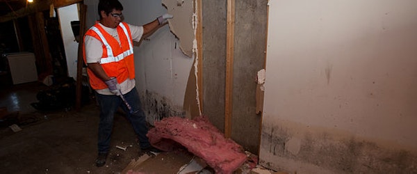 Why Killing Mold Is Not Enough For An Insurance Claim (Property Casualty 360)